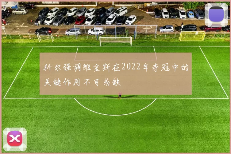 科尔强调维金斯在2022年夺冠中的关键作用不可或缺